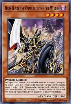 Dark Blade the Captain of the Evil World