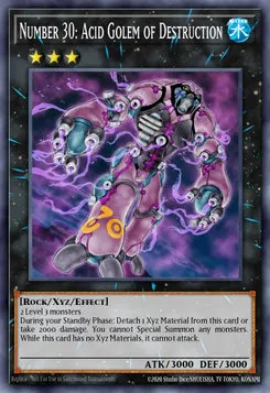 Number 30: Acid Golem of Destruction