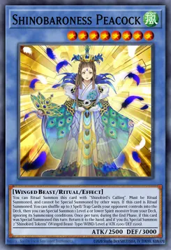 霊魂鳥神－姫孔雀