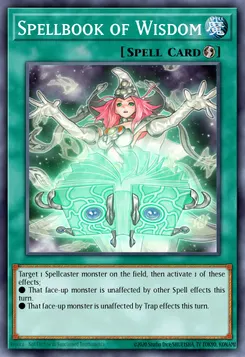 Spellbook of Wisdom