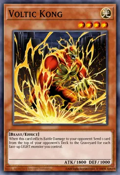 Voltic Kong
