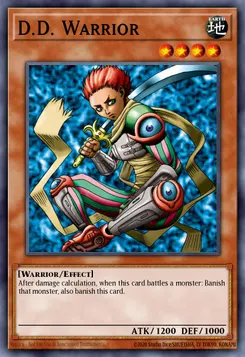 異次元の戦士