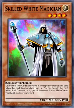 熟練の白魔導師