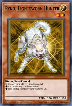 ライトロード・ハンター ライコウ