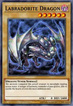 ラブラドライドラゴン