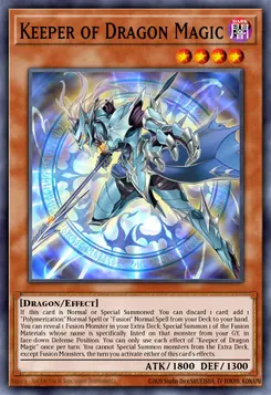 竜魔導の守護者