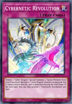 サイバネティック・レボリューション