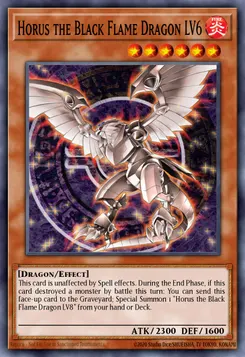 ホルスの黒炎竜 LV６