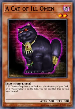 A Cat of Ill Omen