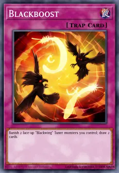 ブラック・ブースト