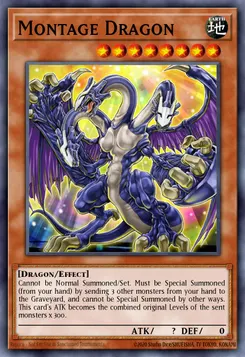 モンタージュ・ドラゴン