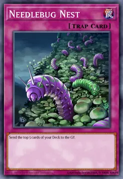 針虫の巣窟